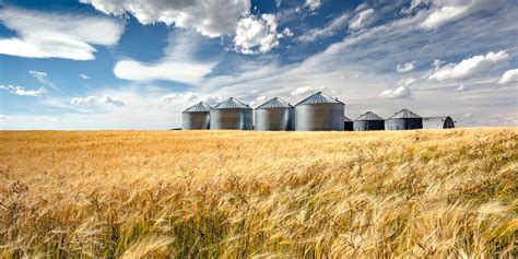 Agriculture In Canada