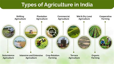 Agriculture In Hindi