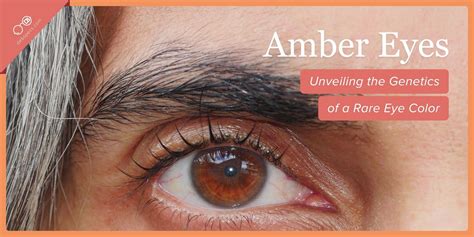 Amber Color Eyes
