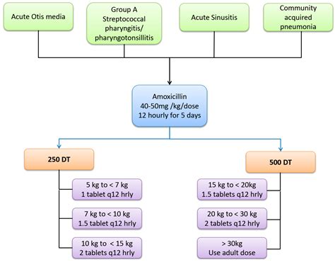 Amoxicillin Dose For Kids