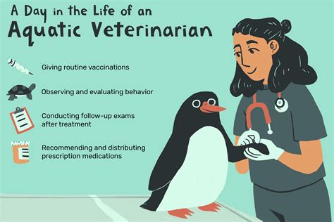 Aquatic Veterinarian Salary