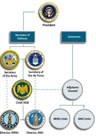 Army Reserve Vs National Guard