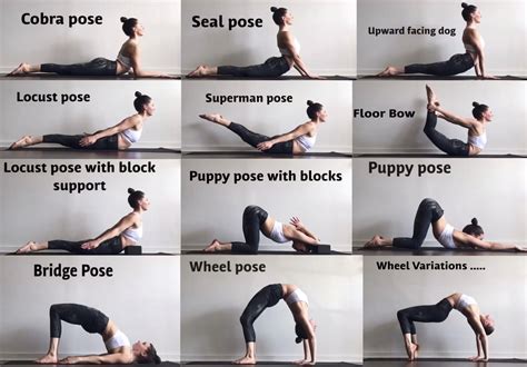Back Flexibility Stretches