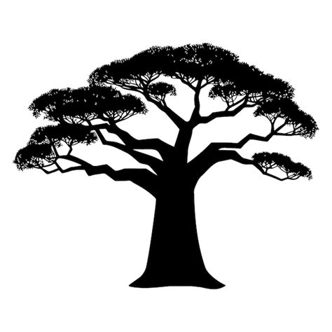Baobab Silhouette