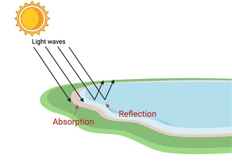 Behavior Of Light Examples
