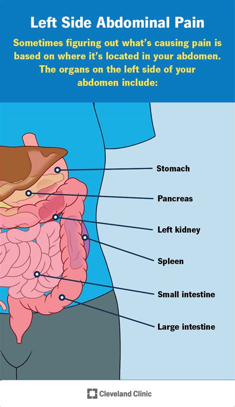 Belly Pain Lower Left