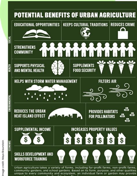 Benefits Of Urban Agriculture