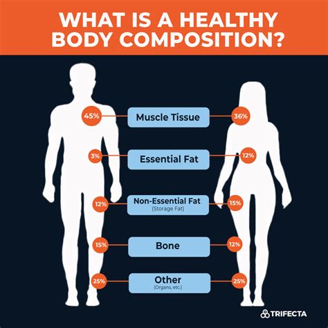 Body Composition Definition