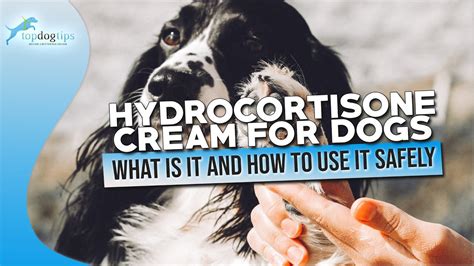 Can You Use Hydrocortisone Cream On Dogs