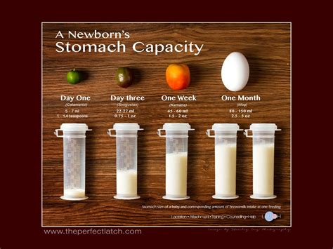 Capacity Of Your Stomach