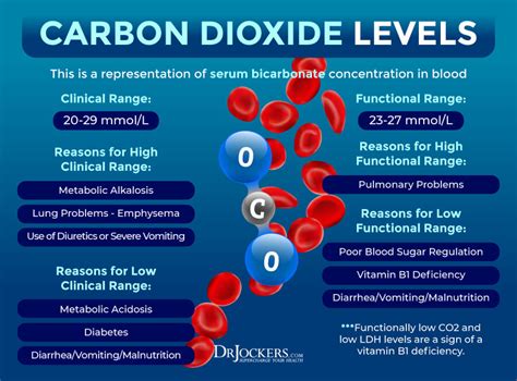 Carbon Dioxide Total Low