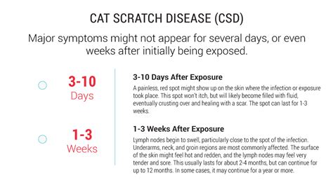 Cat Scratch Disease Treatment