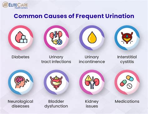 Cause Of Often Urination