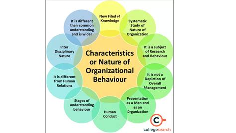 Characteristics Of Organization