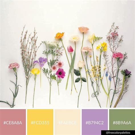 Color Palette For Flowers
