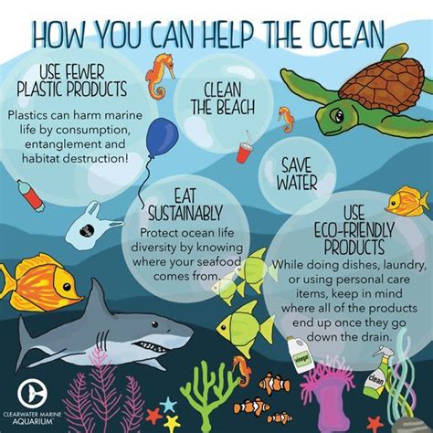 Conservation Of Ocean