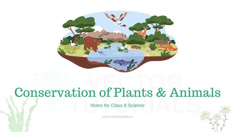 Conservation Of Plants And Animals