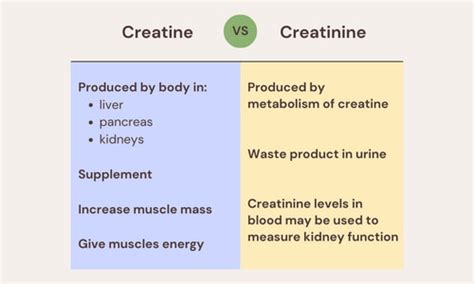 Creatinine Vs Creatine