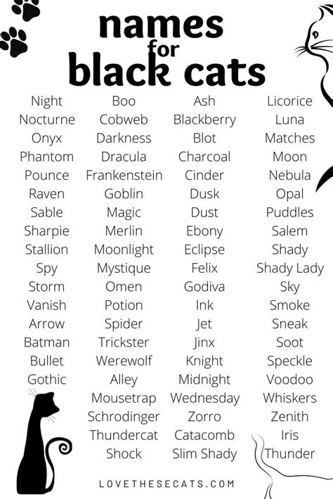 Cute Names For A Black Cat