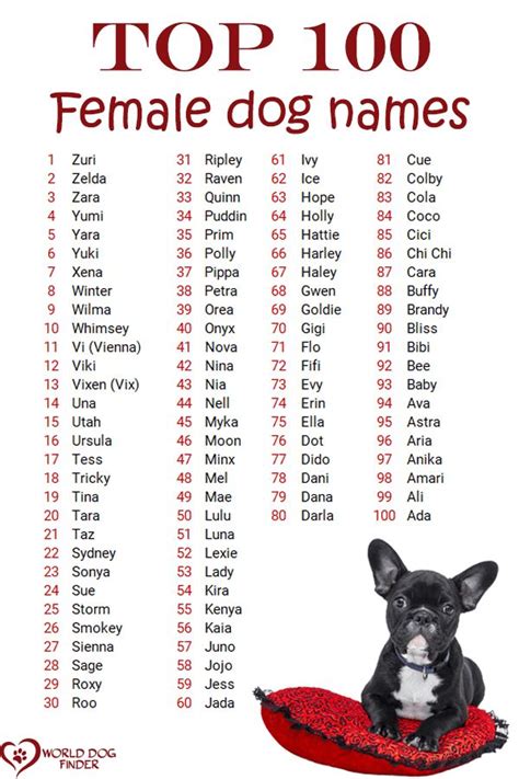 Cute Names For Dogs Female