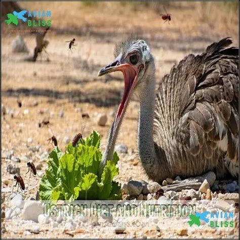 Diet Of Ostrich