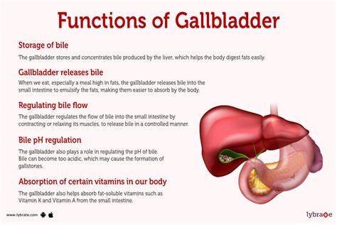 Do You Need Your Gallbladder
