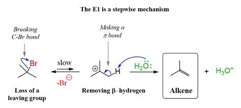 E1 Reaction Mechanism