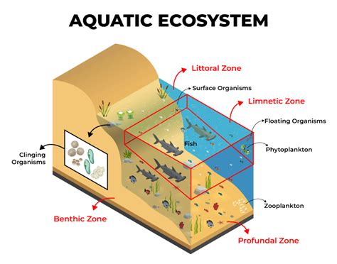 Ecosystem Zones