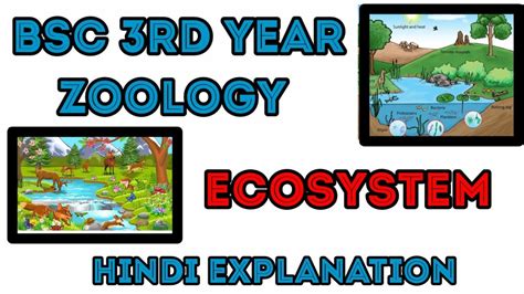 Ecosystem Zoology Bsc 3Rd Year