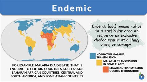 Endemic Zone Meaning