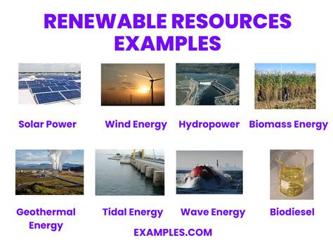 Examples Of Renewable Resources