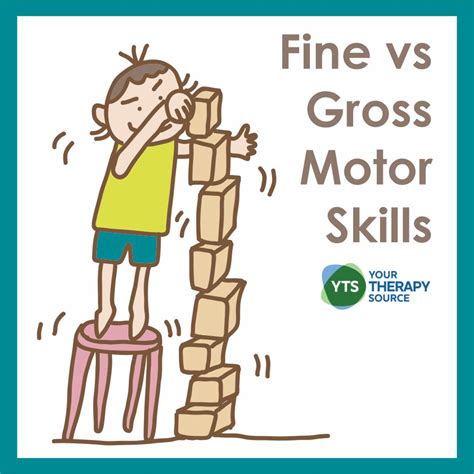 Fine And Gross Motor Skills