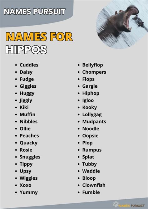 Funny Names For Hippos