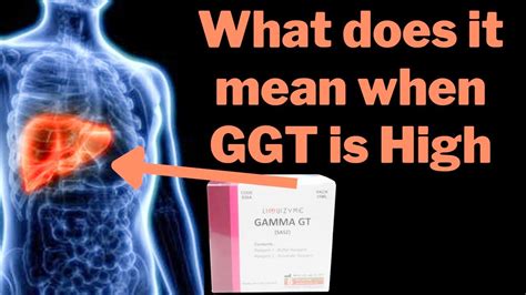 Gamma Gt Test