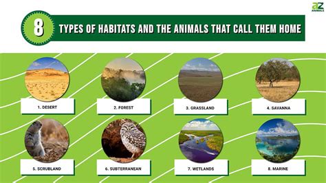 Habitat Of Organisms