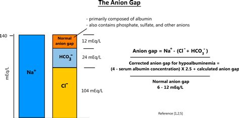 High Anion Gap Lab Test