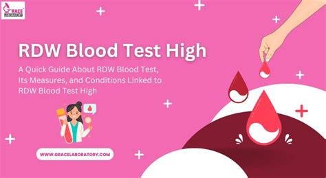 High Rdw Blood Test