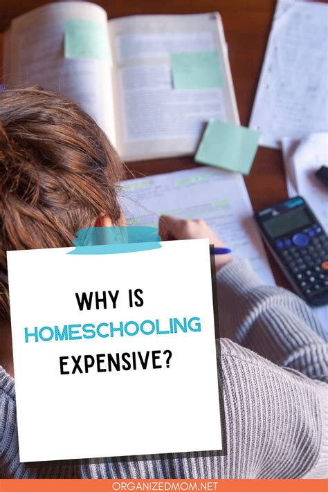 How Expensive Is Homeschooling