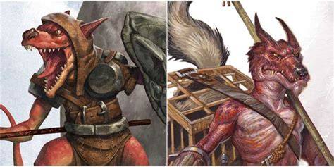 How Long Do Kobolds Live