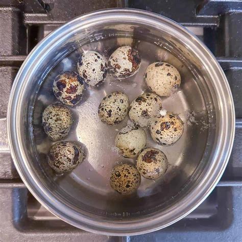 How Long To Boil Quail