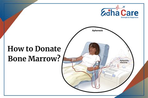 Is Donating Bone Marrow Hurt