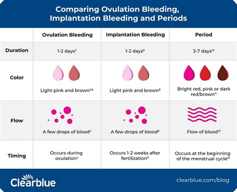 Is It Normal To Bleed During Ovulation