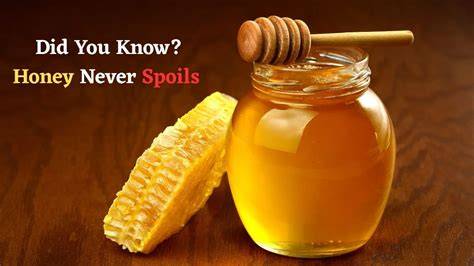 Is It True That Honey Never Spoils