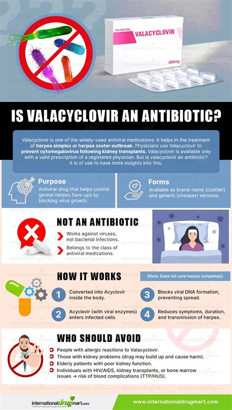 Is Valacyclovir An Antibiotic