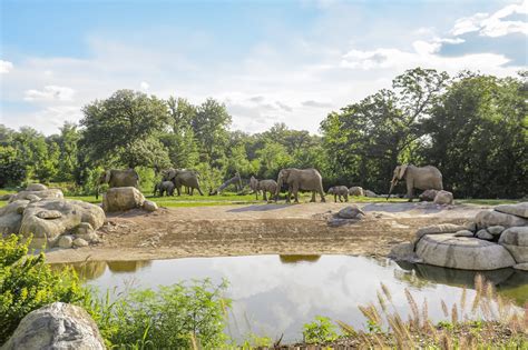 Kansas City Zoo Weather Tomorrow
