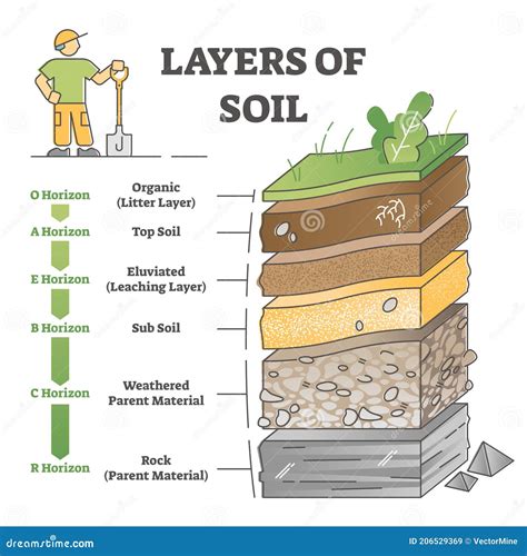 Layers Of Soil Diagram