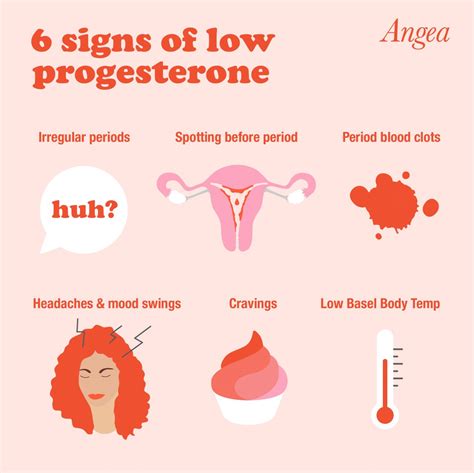 Low Progesterone In Women