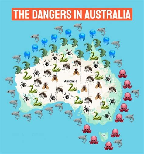 Map Of Australia Dangerous Animals
