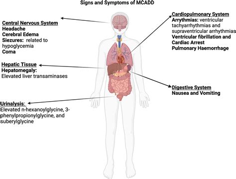 Mcad Genetic Disease