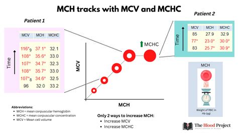 Mch Lab Test Low